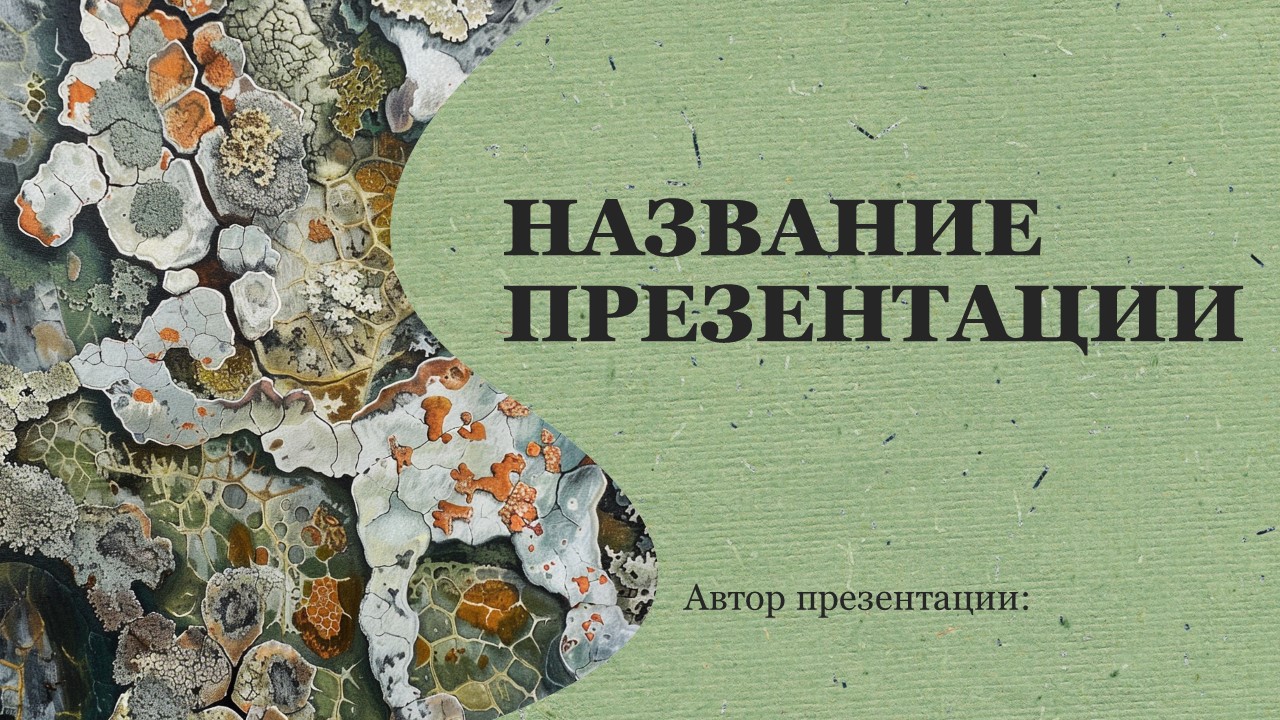 Презентация Лишайники 