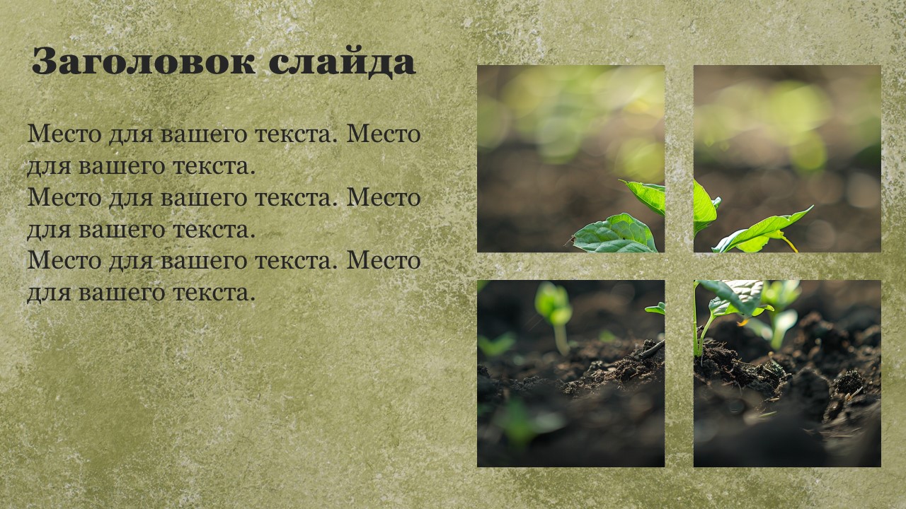 Презентация Методы селекции растений 