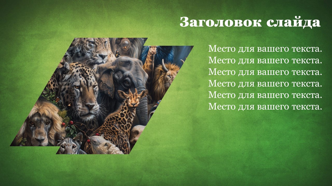 Презентация Мир зверей 