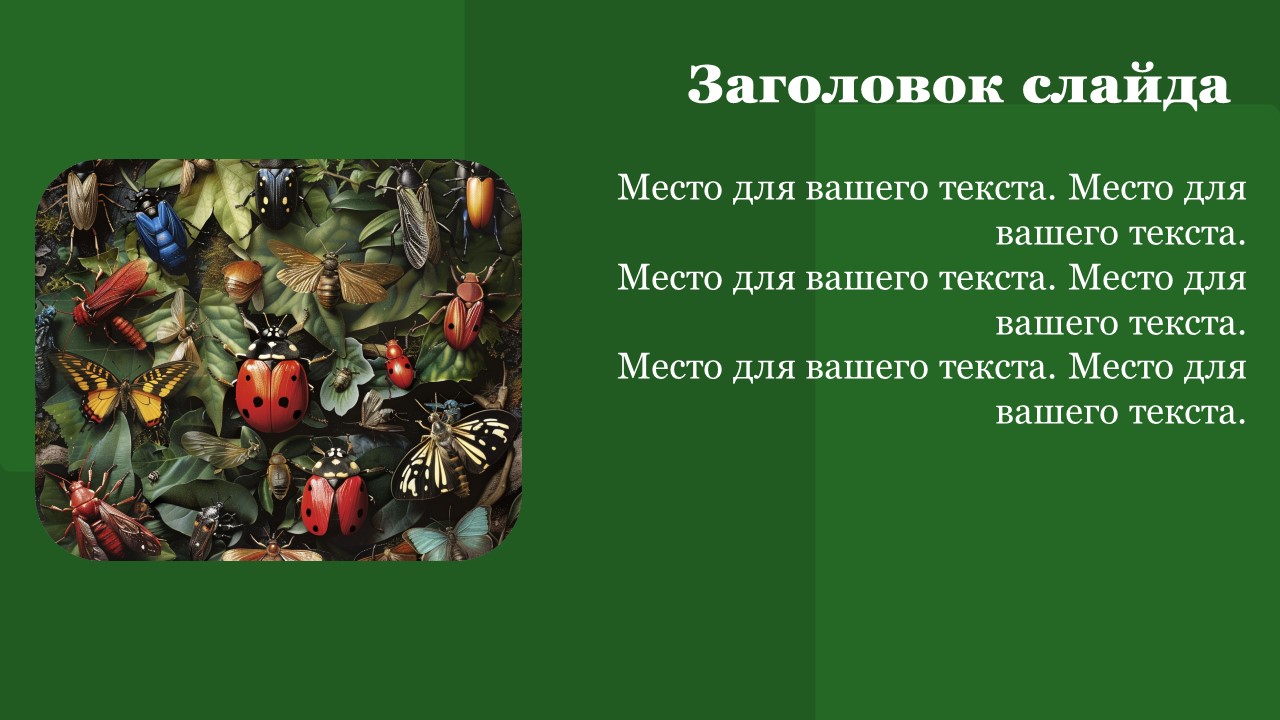 Презентация Многообразие насекомых 