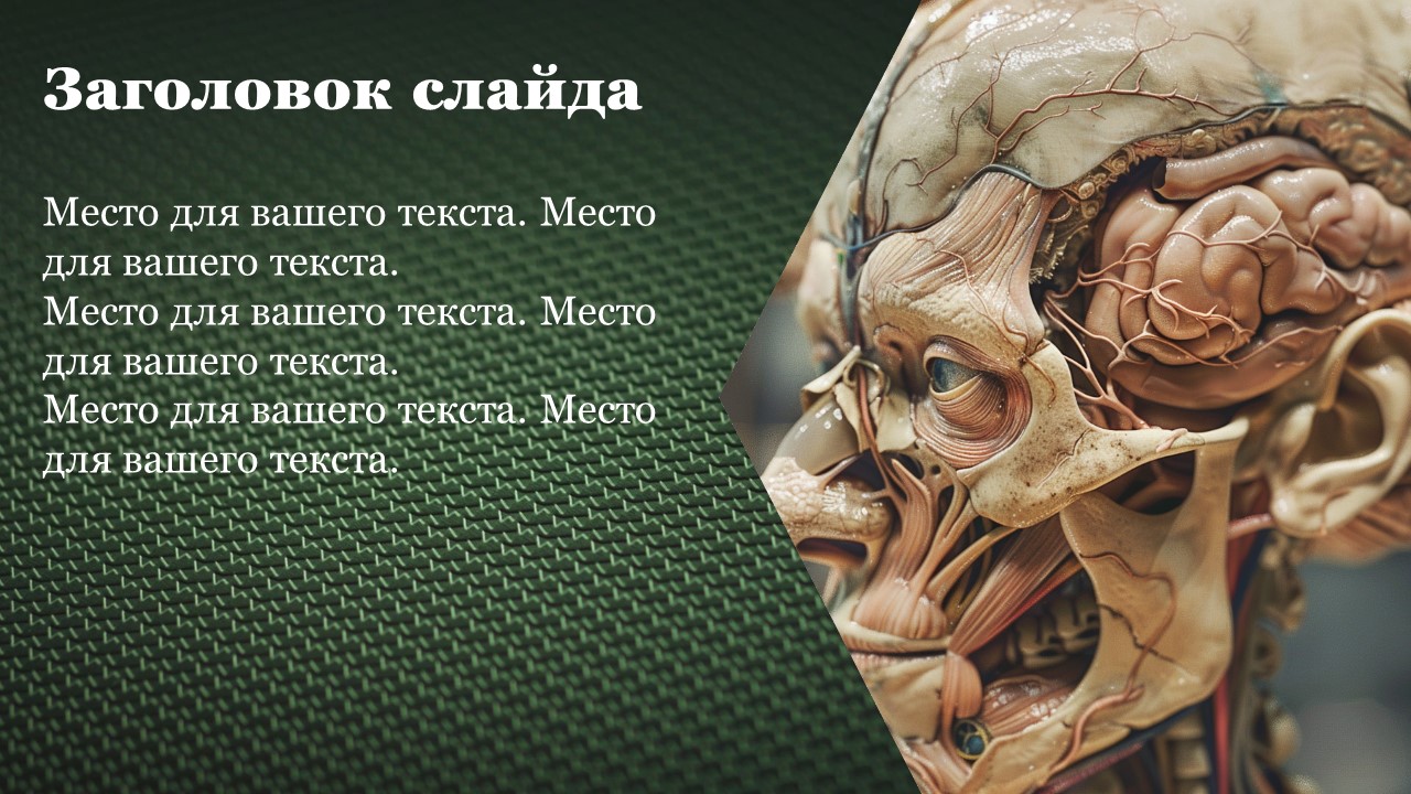 Презентация Организм и его свойства 