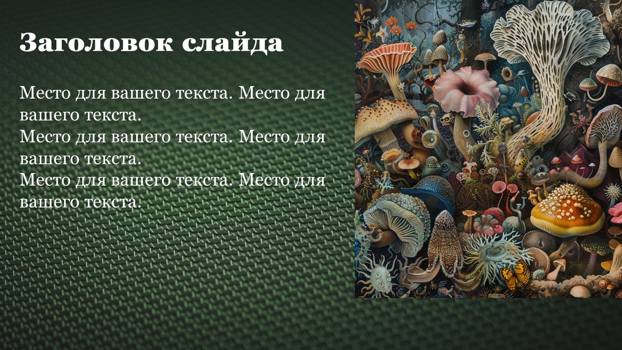 Презентация Организмы и среда их обитания 