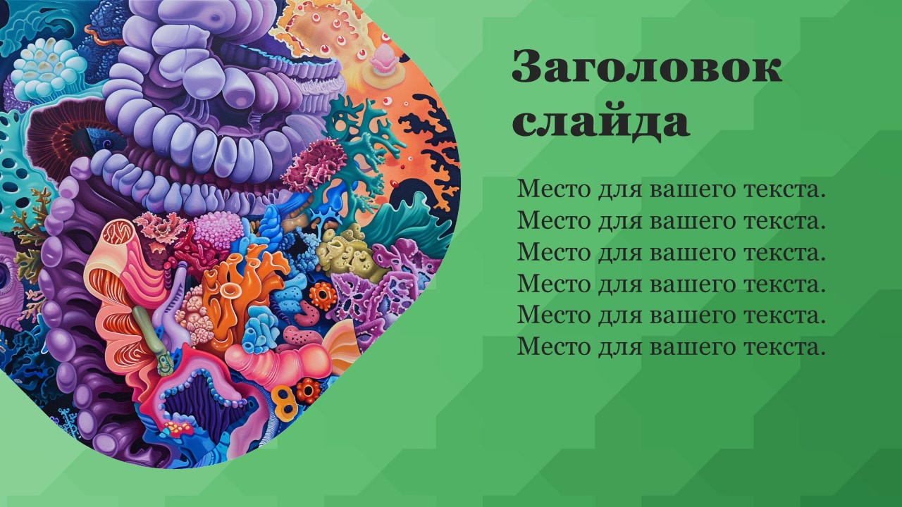 Презентация Пищеварение в кишечнике 