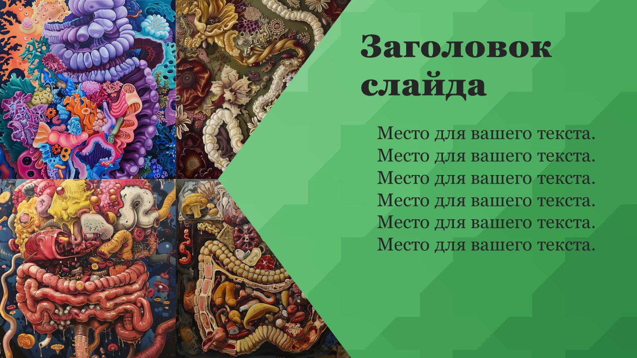 Презентация Пищеварение в кишечнике 