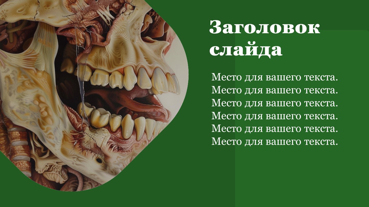 Презентация Пищеварение в ротовой полости и желудке 