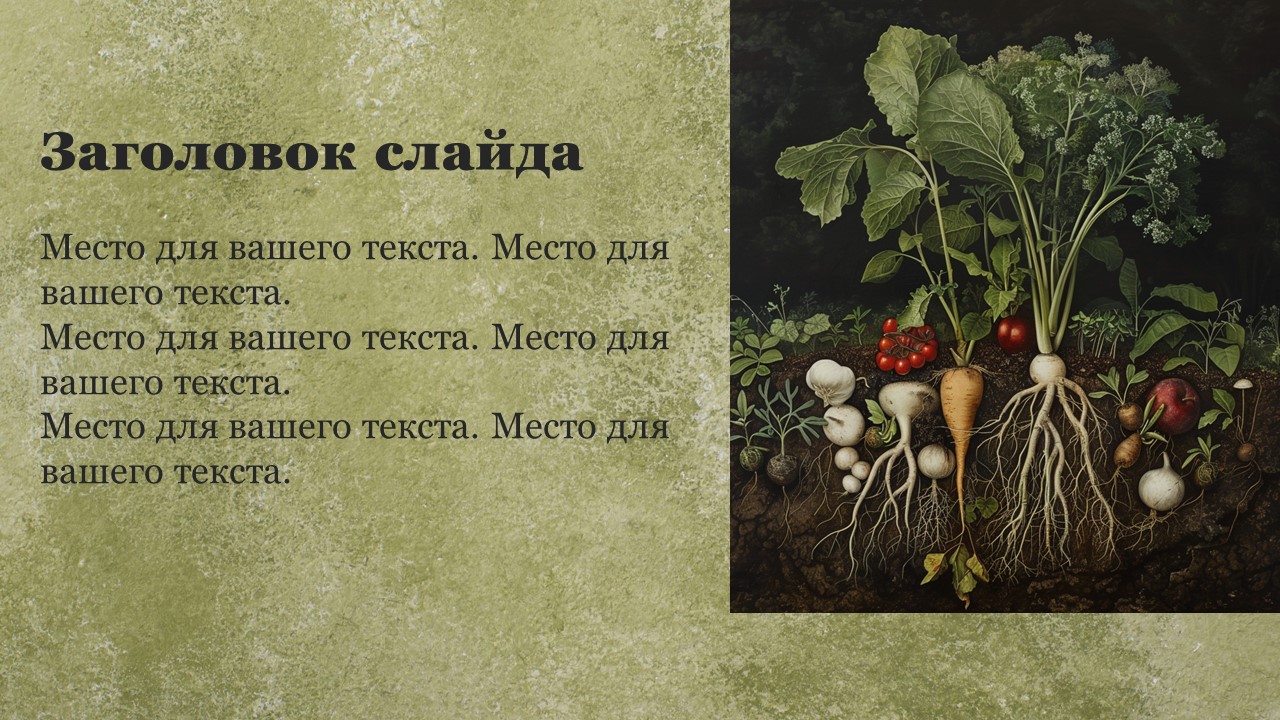 Презентация Питание растений 