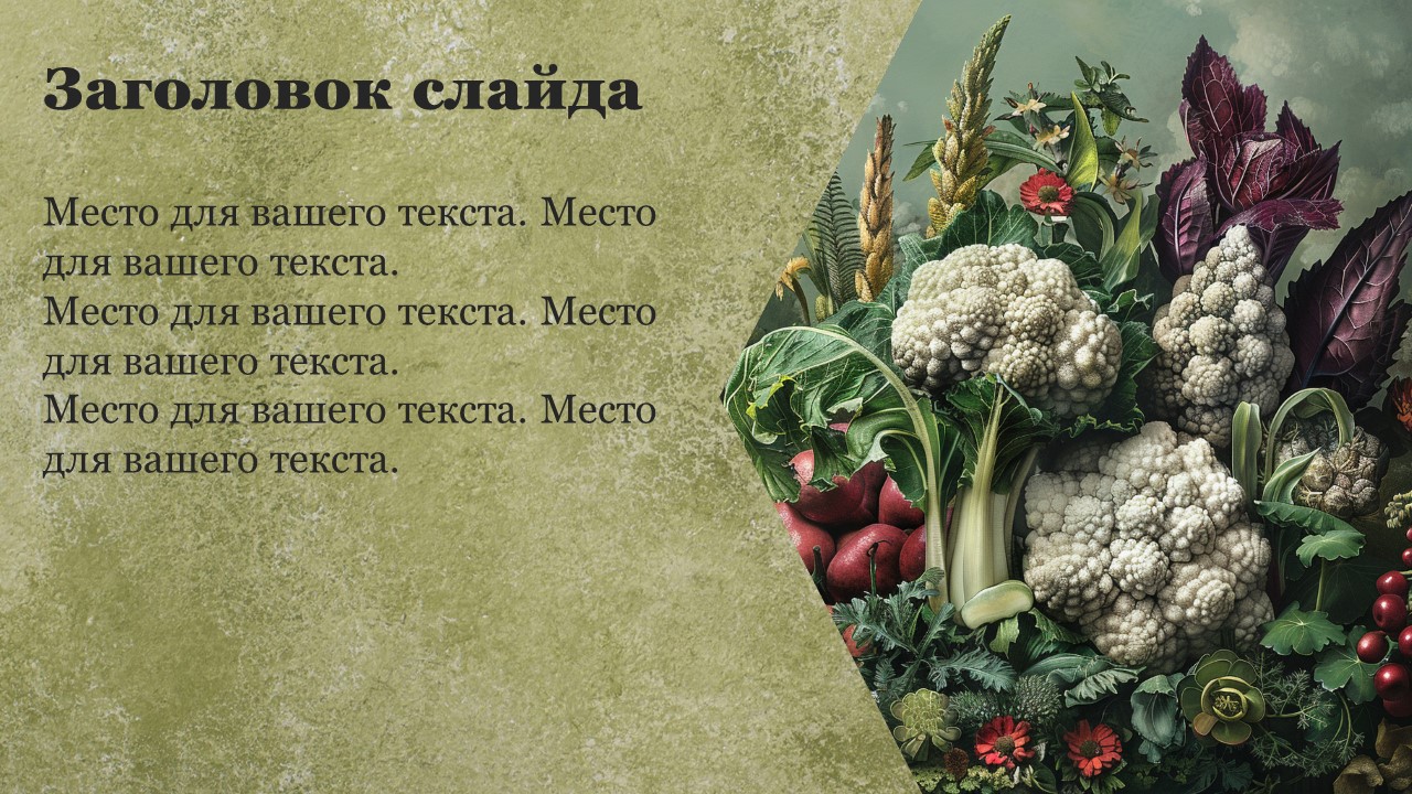 Презентация Питание растений 