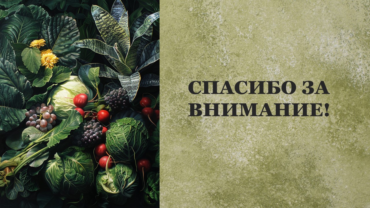 Презентация Питание растений 
