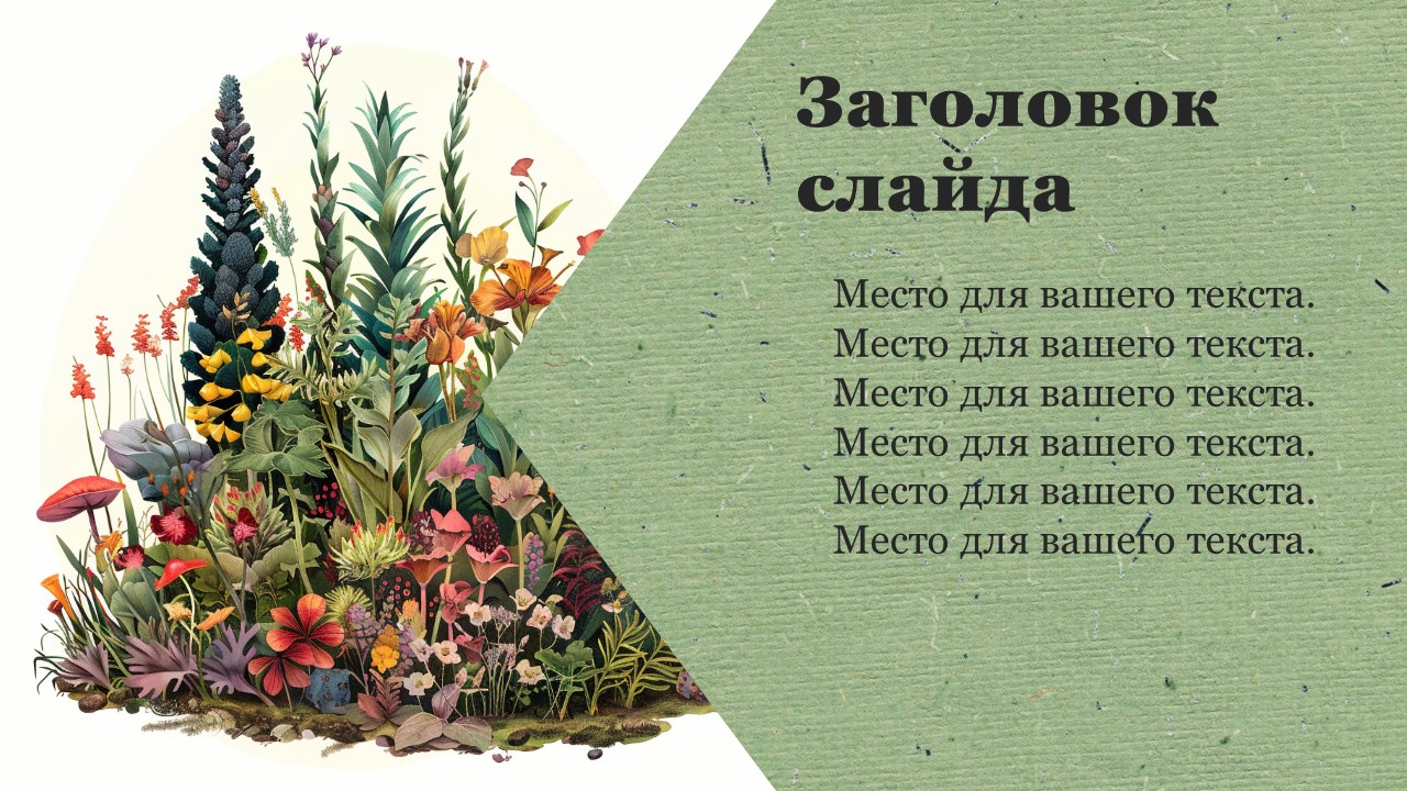 Презентация Побег 