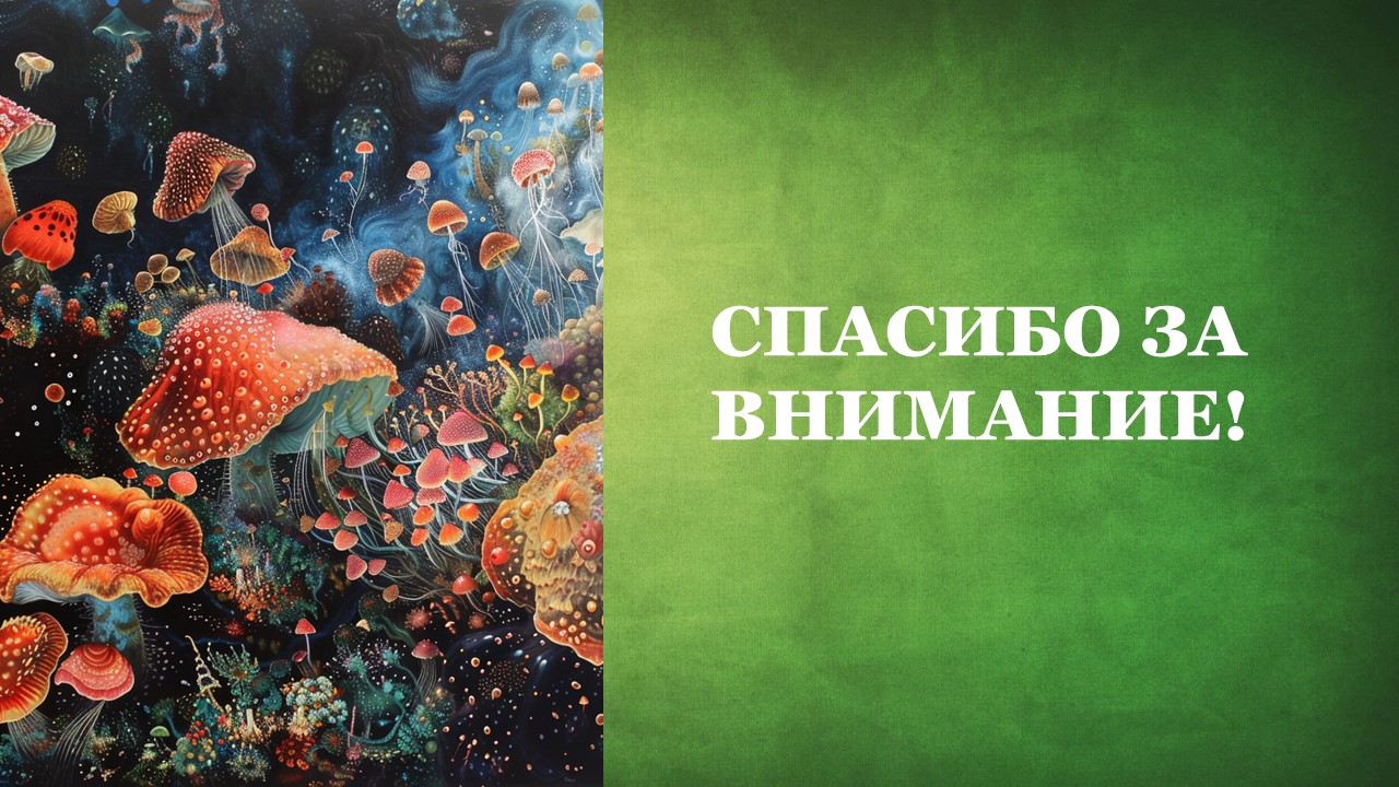 Презентация Подтип бесчерепные 