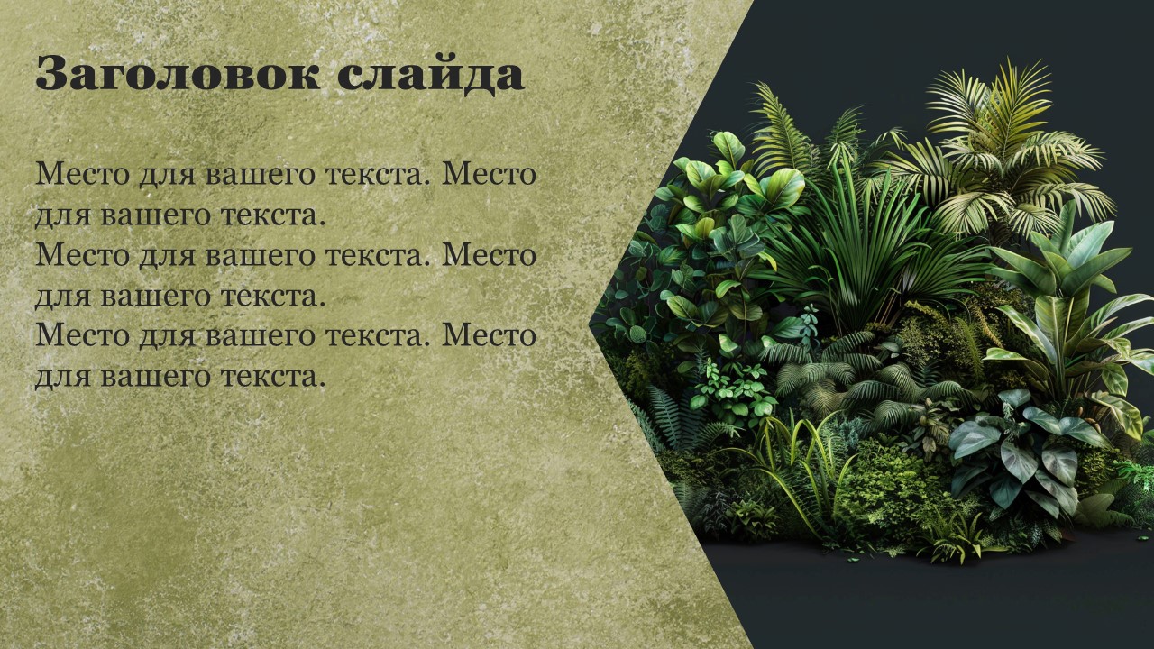 Презентация Покрытосеменные растения 
