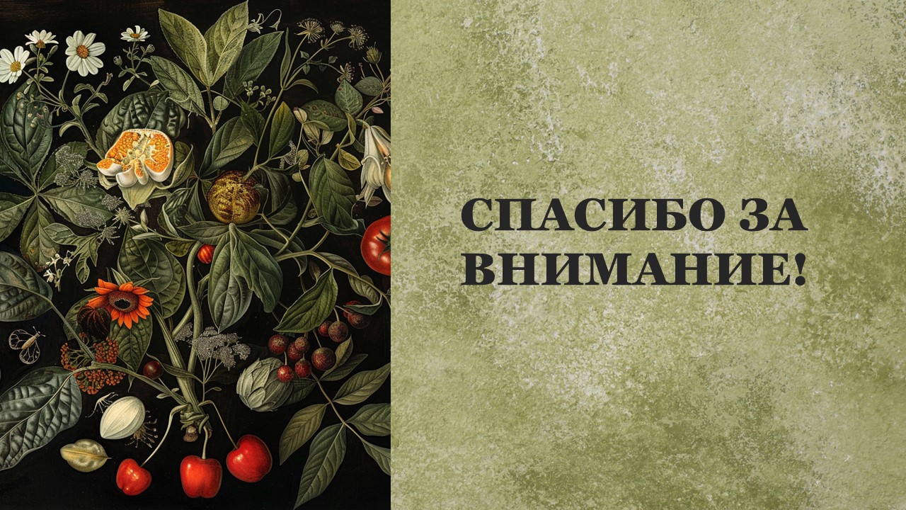 Презентация Покрытосеменные растения 