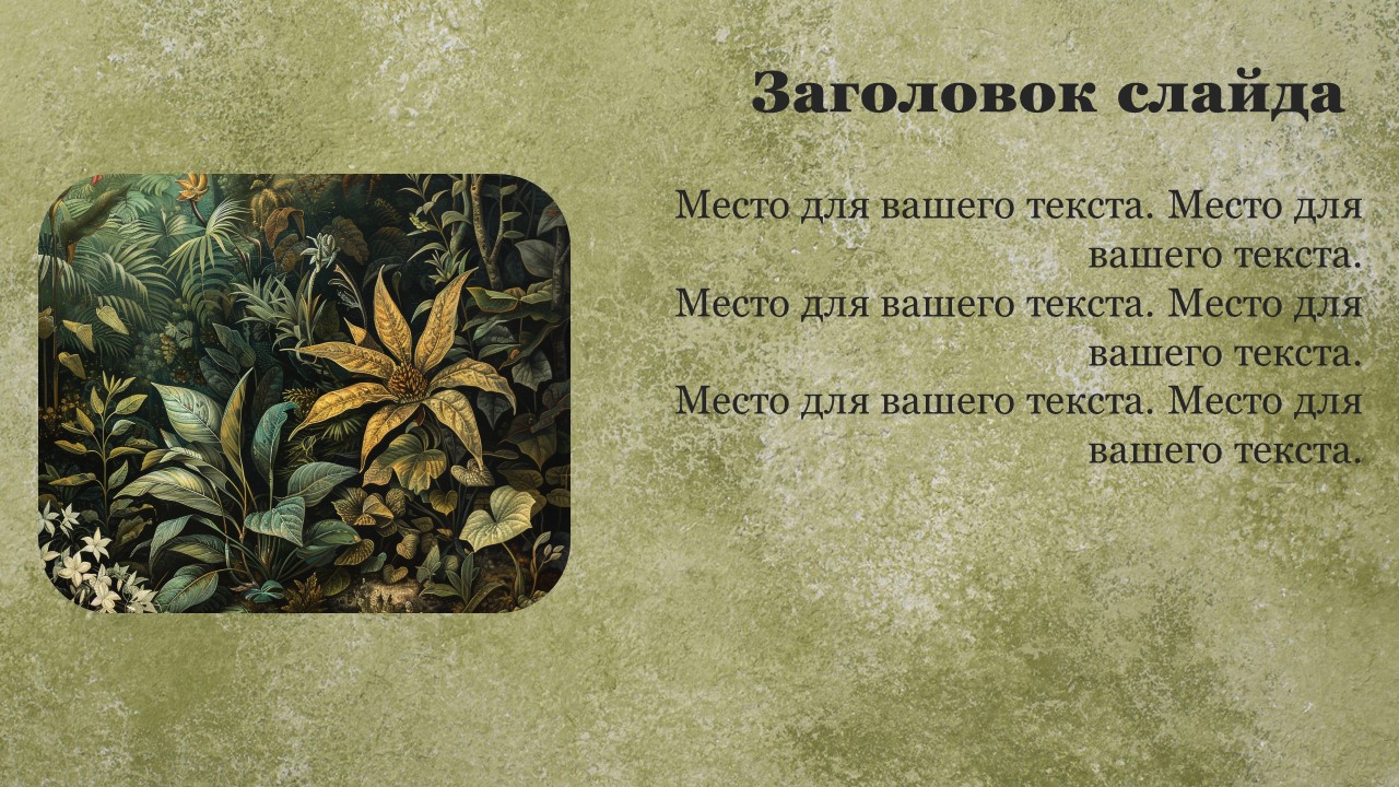 Презентация Происхождение растений 