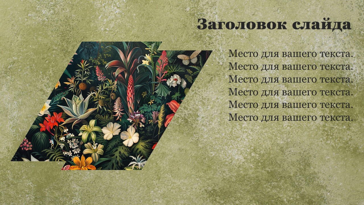 Презентация Происхождение растений 