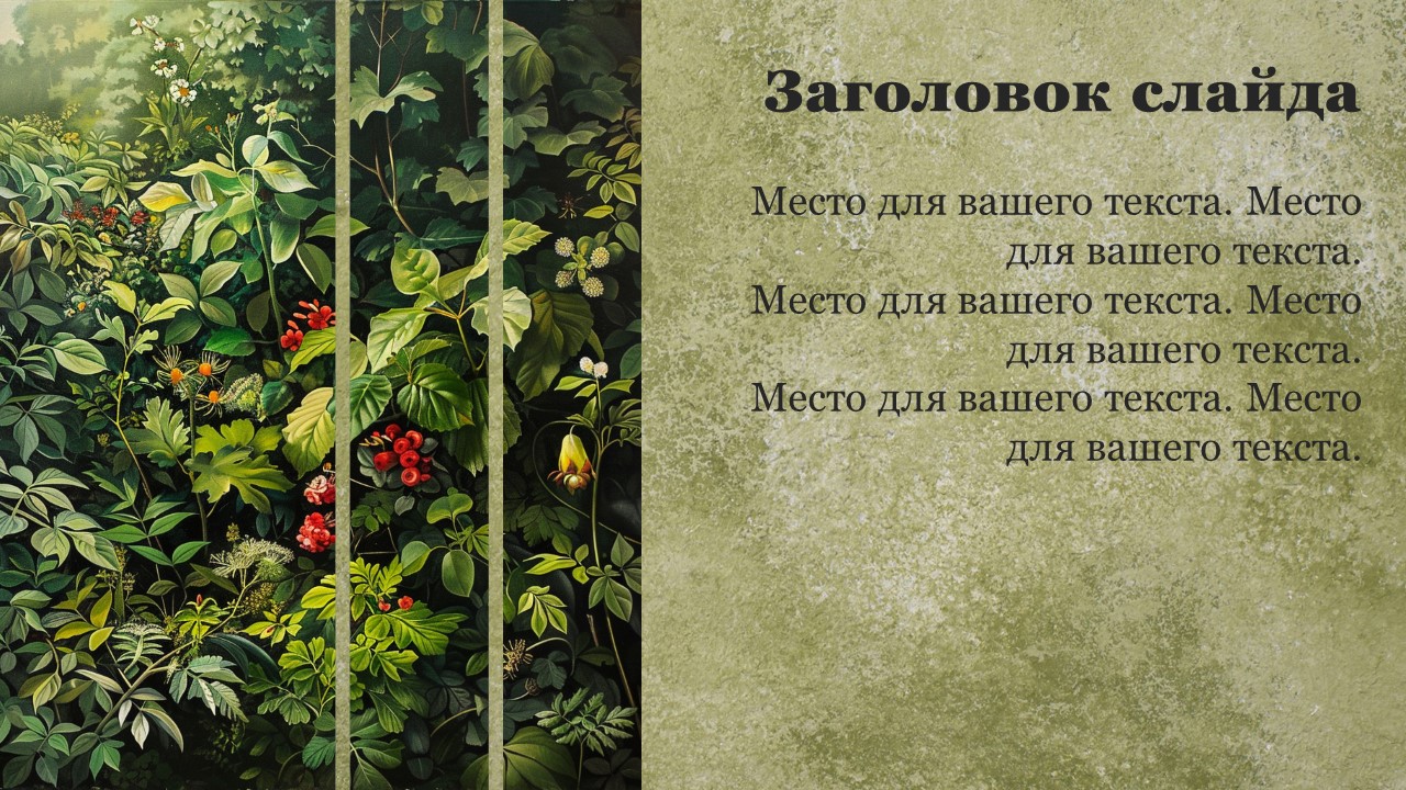 Презентация Растения леса 