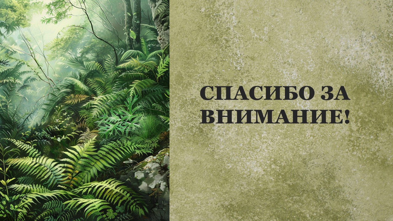 Презентация Растения леса 