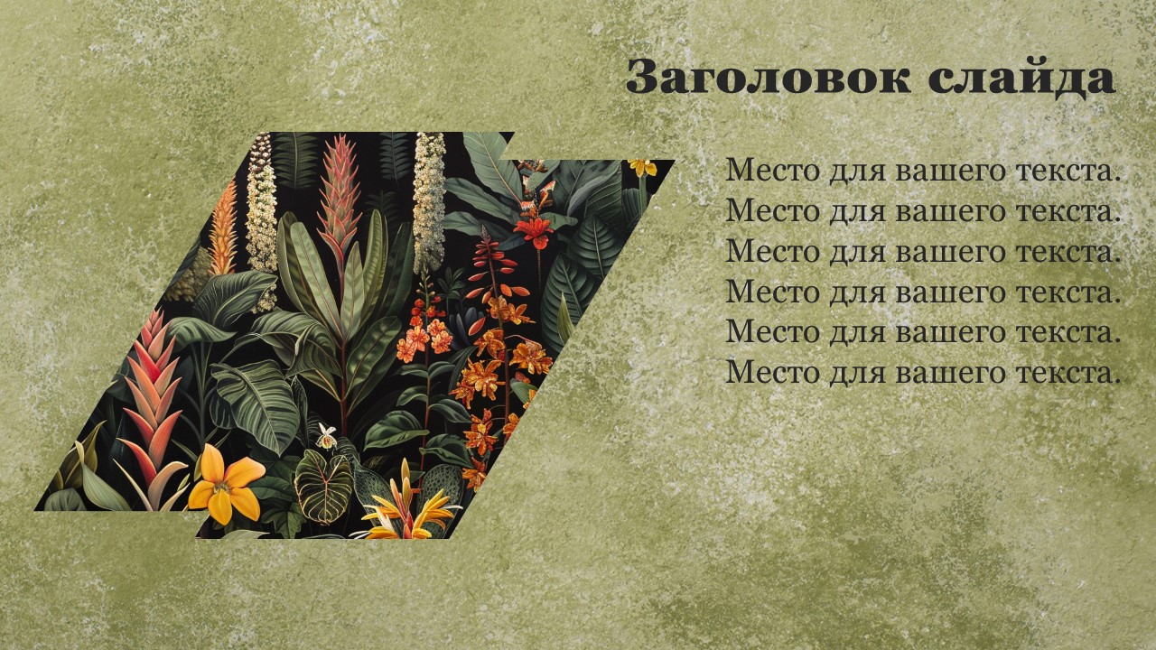 Презентация Растения нашего края 