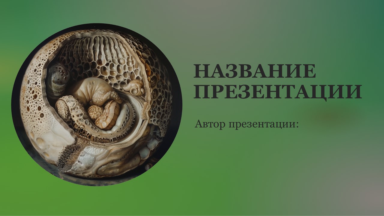 Презентация Размножение и развитие организмов 