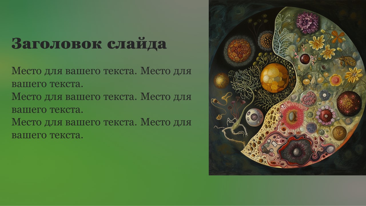 Презентация Размножение и развитие организмов 
