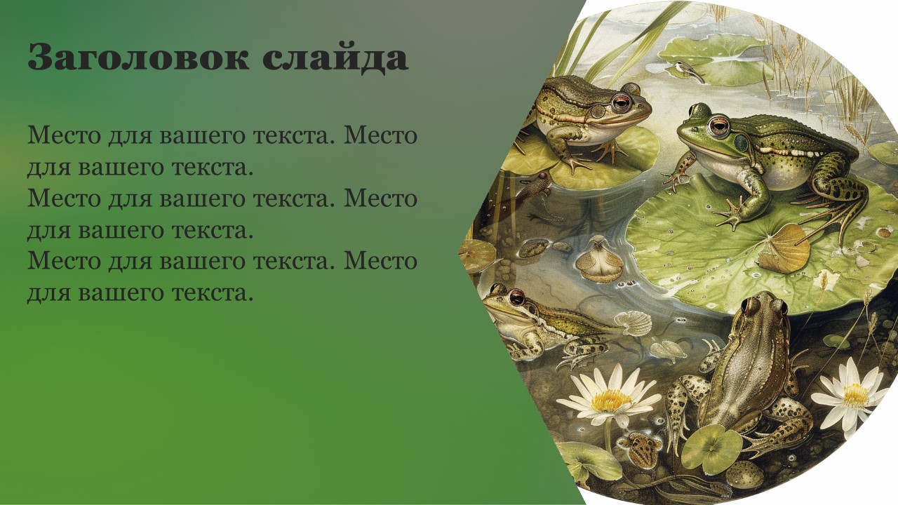 Презентация Размножение и развитие организмов 