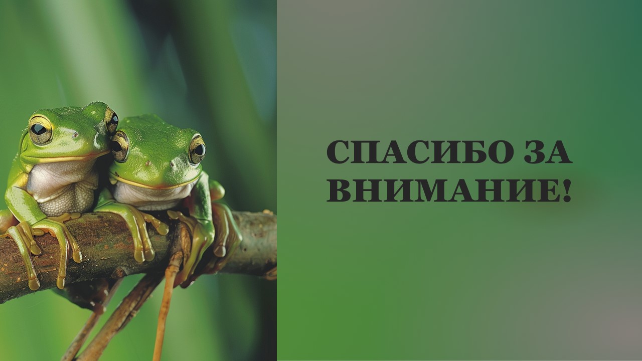Презентация Размножение и развитие организмов 
