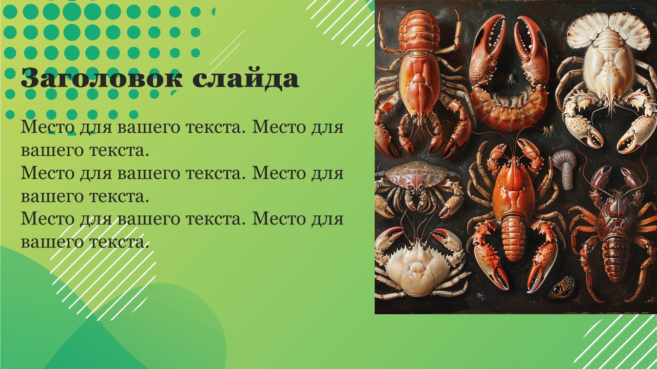 Презентация Разнообразие ракообразных 