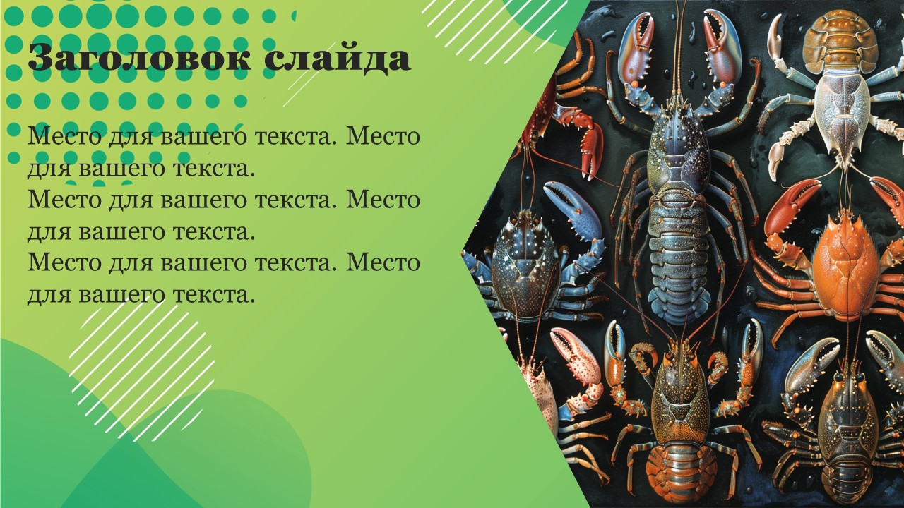 Презентация Разнообразие ракообразных 