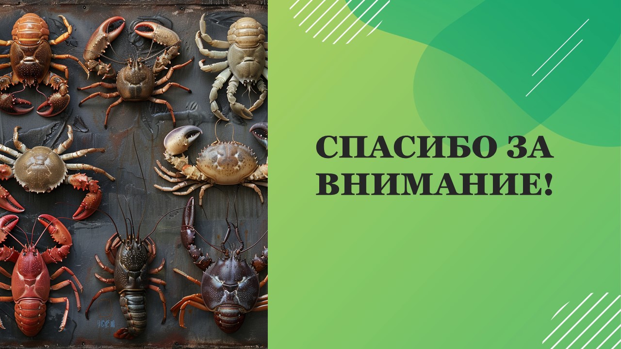 Презентация Разнообразие ракообразных 