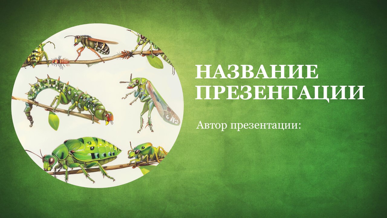 Презентация Развитие насекомых 