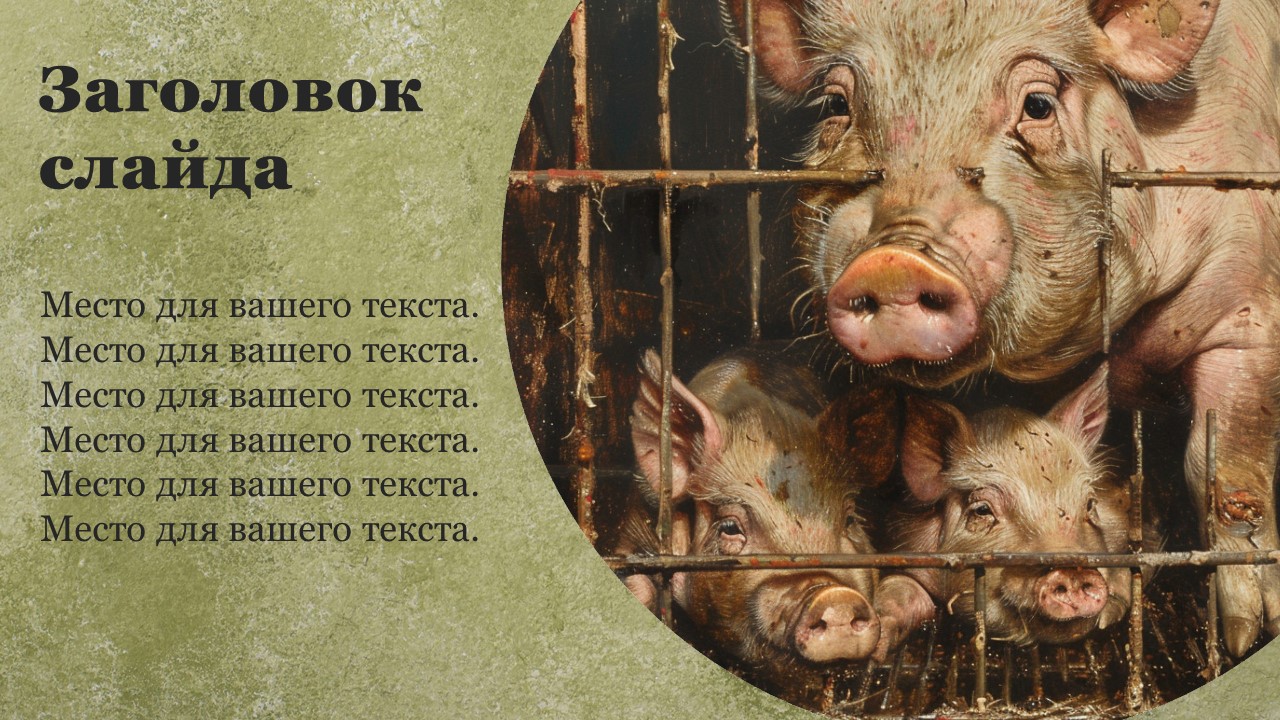 Презентация Селекция растений и животных 