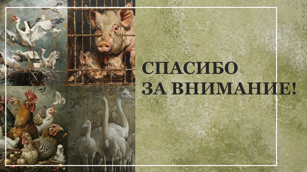 Презентация Селекция растений и животных 