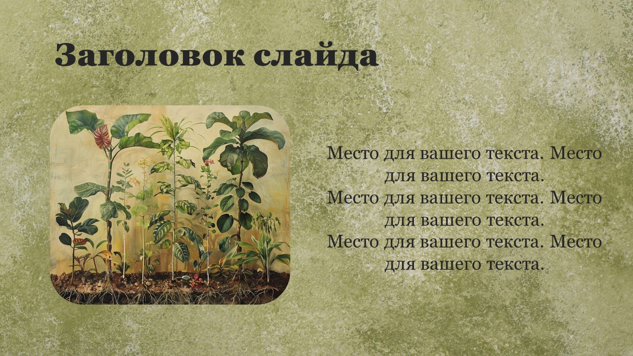 Презентация Селекция растений 