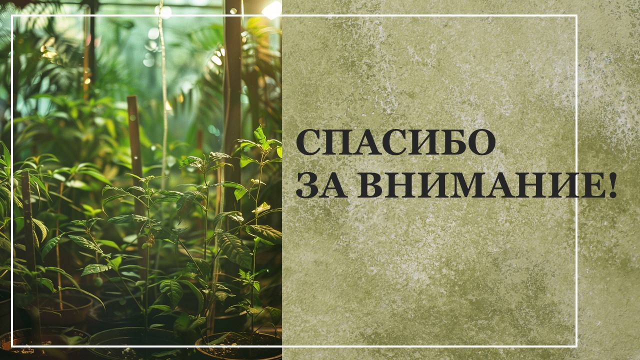 Презентация Селекция растений 