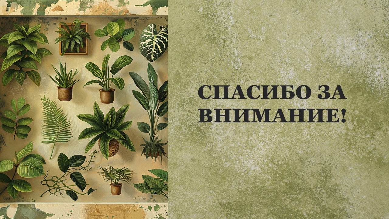 Презентация Семейства растений 