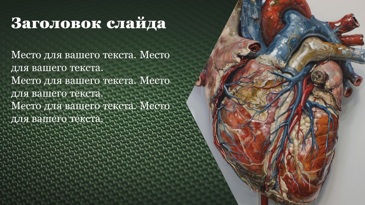 Презентация Сердечно сосудистая система 
