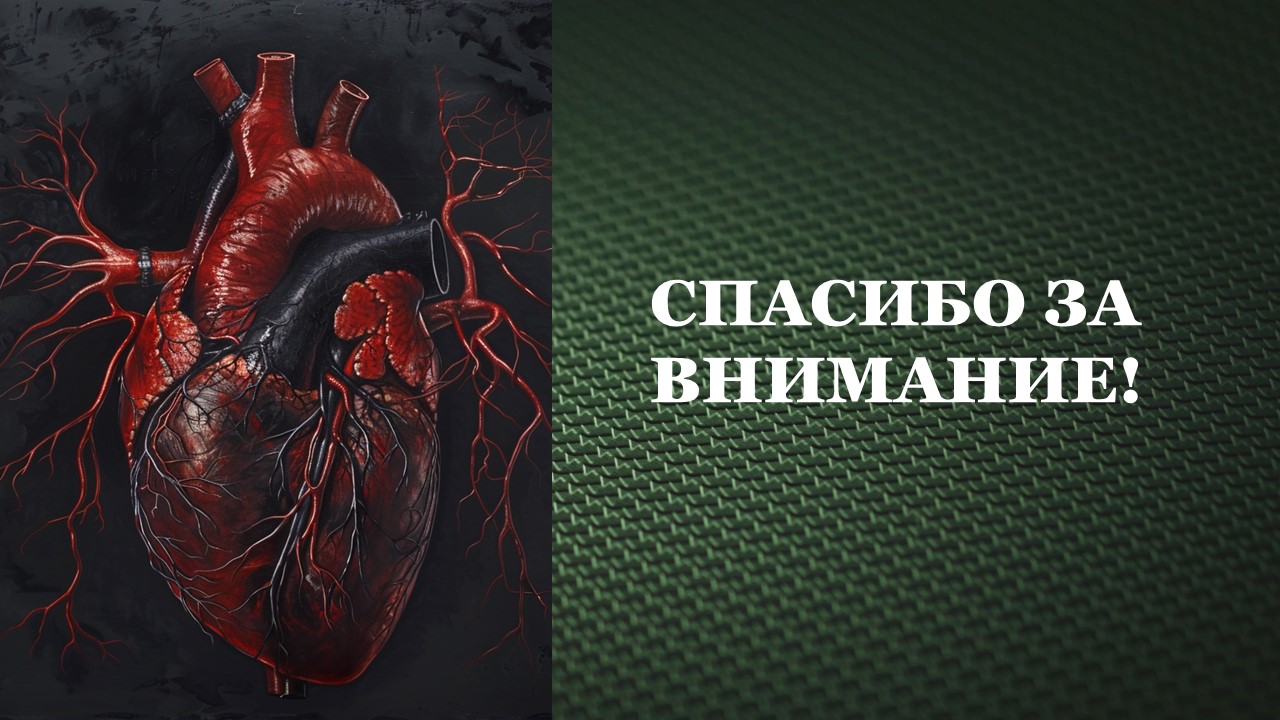 Презентация Сердечно сосудистая система 