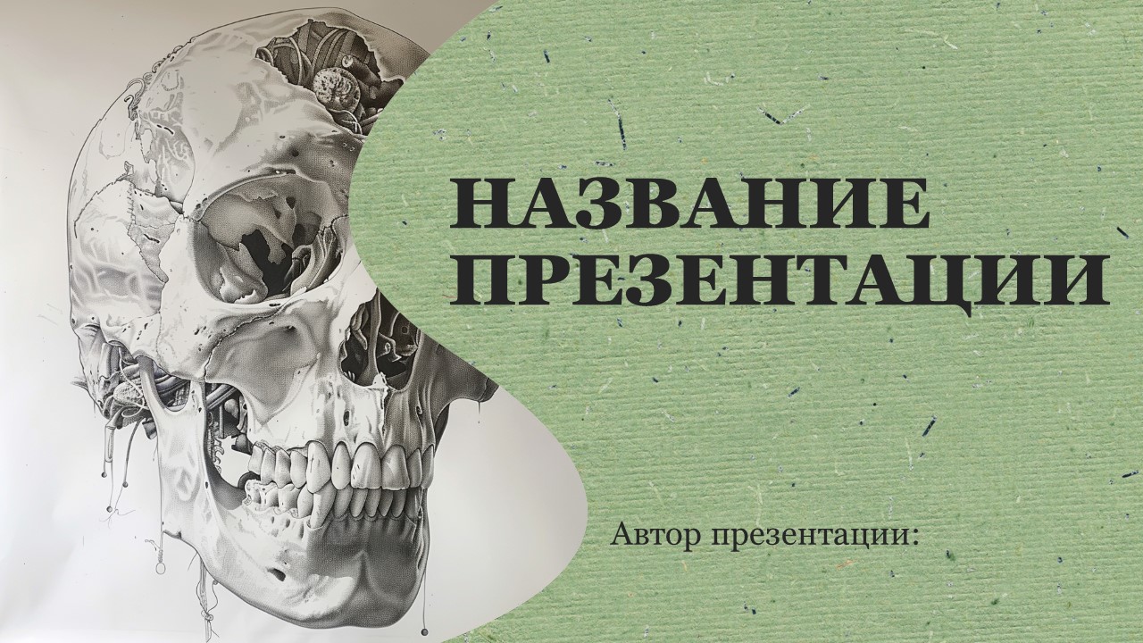 Презентация Скелет 