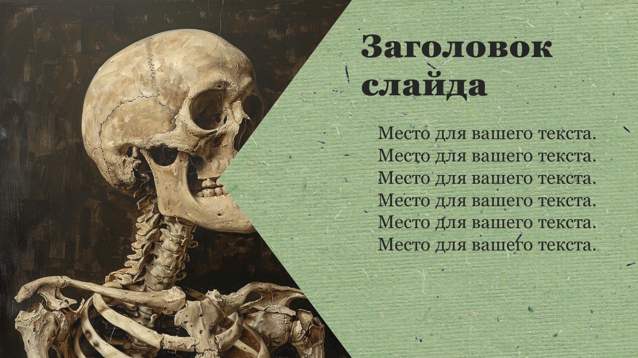 Презентация Скелет 