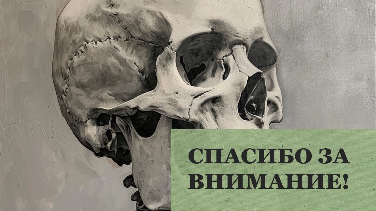 Презентация Скелет 