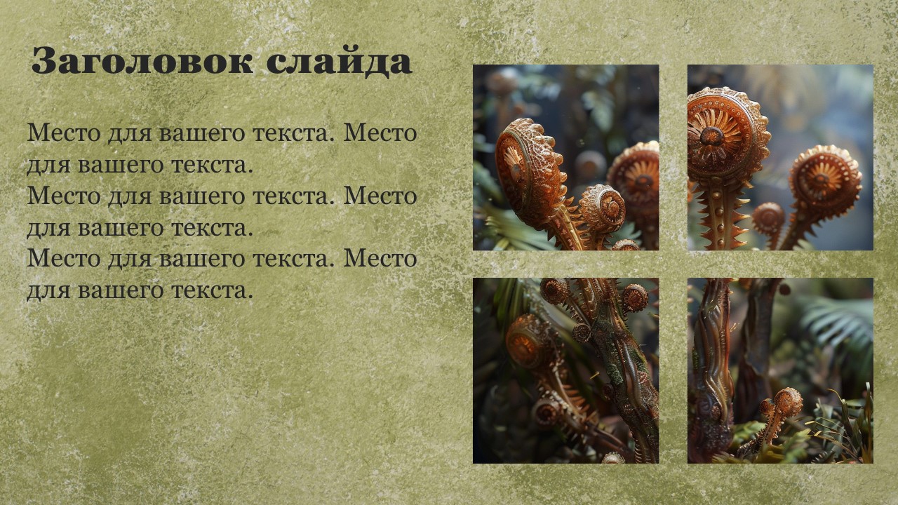 Презентация Споровые растения 