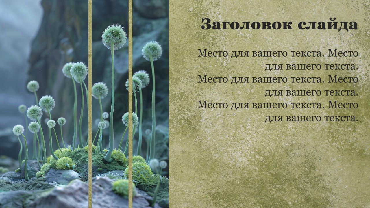 Презентация Споровые растения 