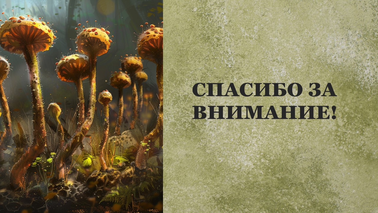 Презентация Споровые растения 