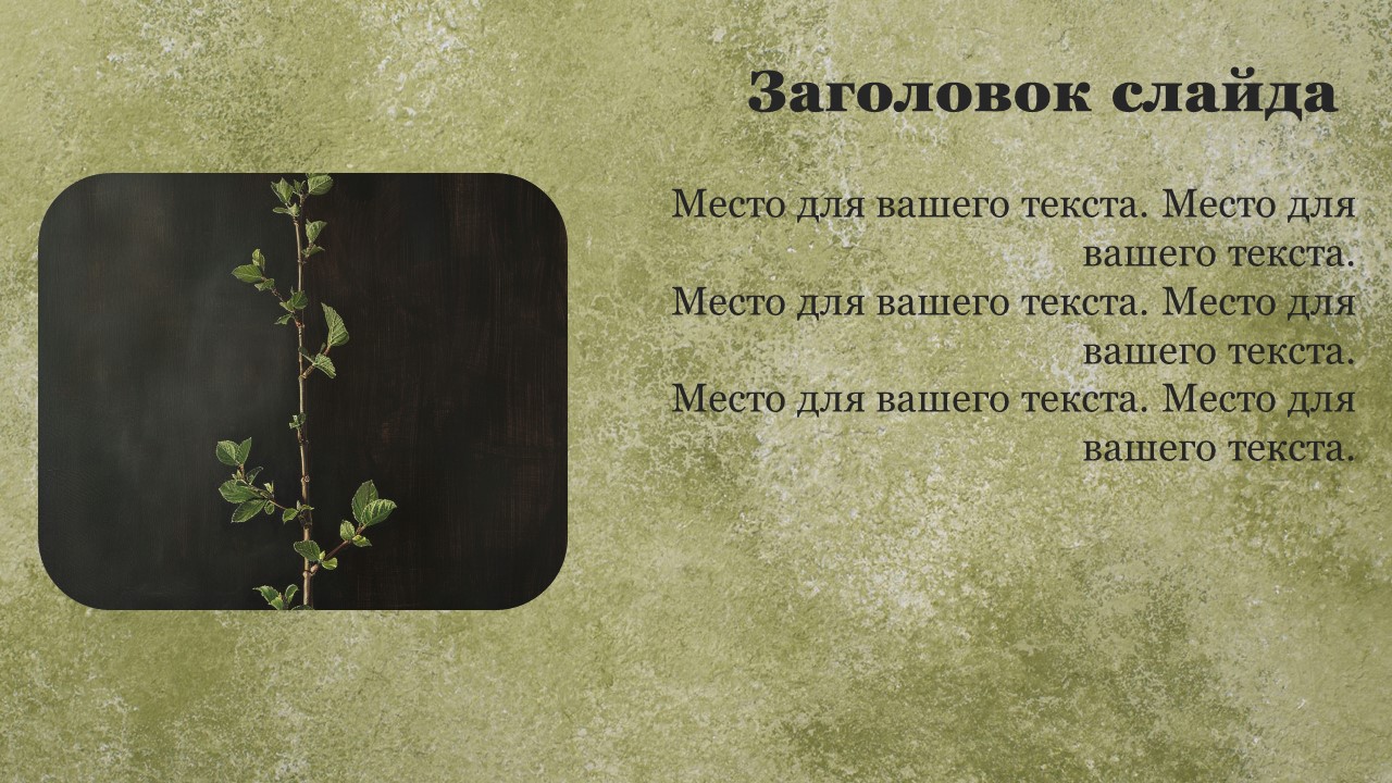 Презентация Стебель растения 