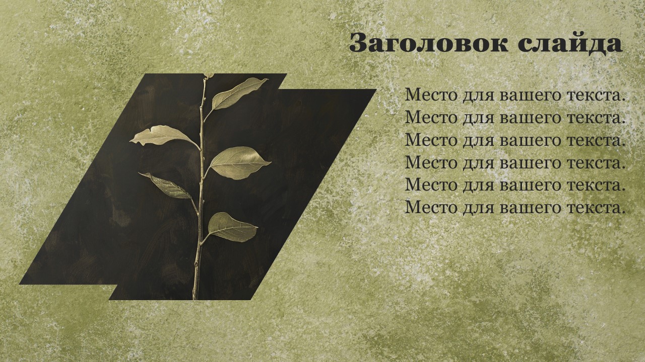 Презентация Стебель растения 