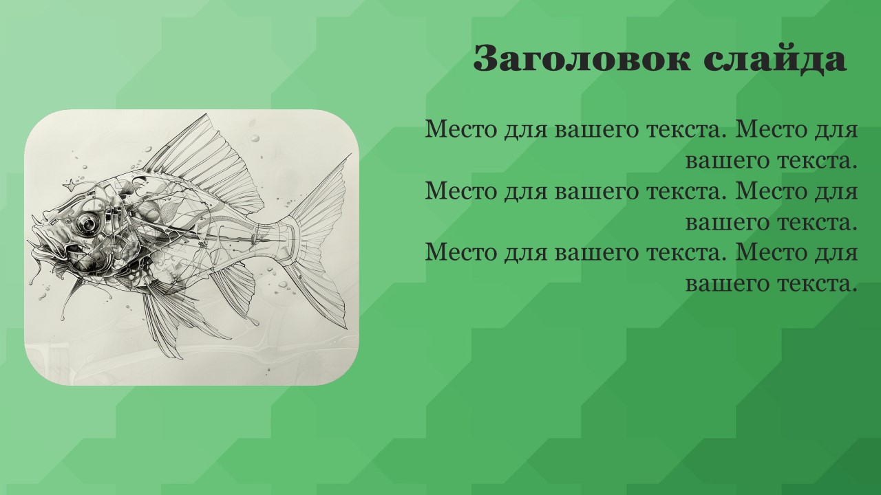 Презентация Строение рыб 