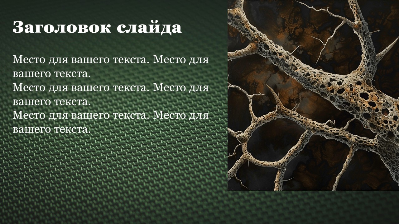Презентация Строение стебля 