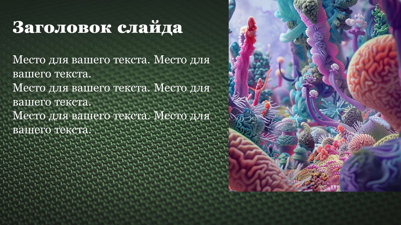 Презентация Структура вида 