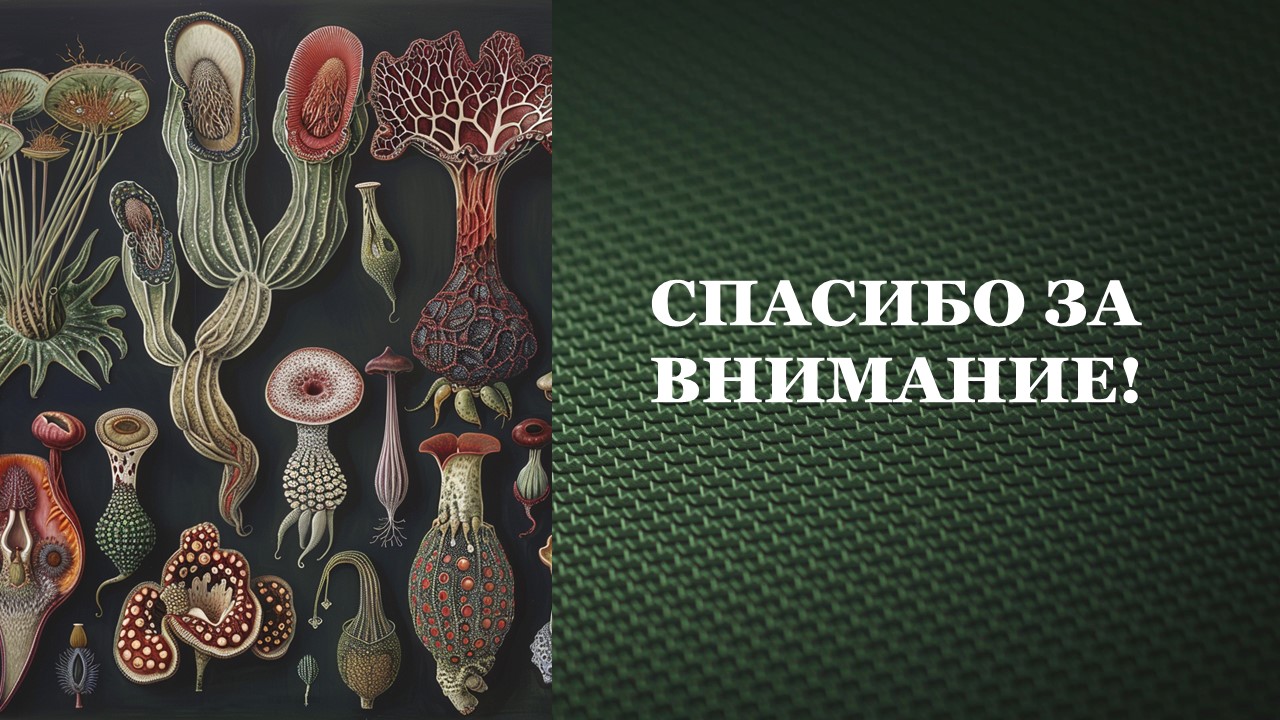 Презентация Структура вида 
