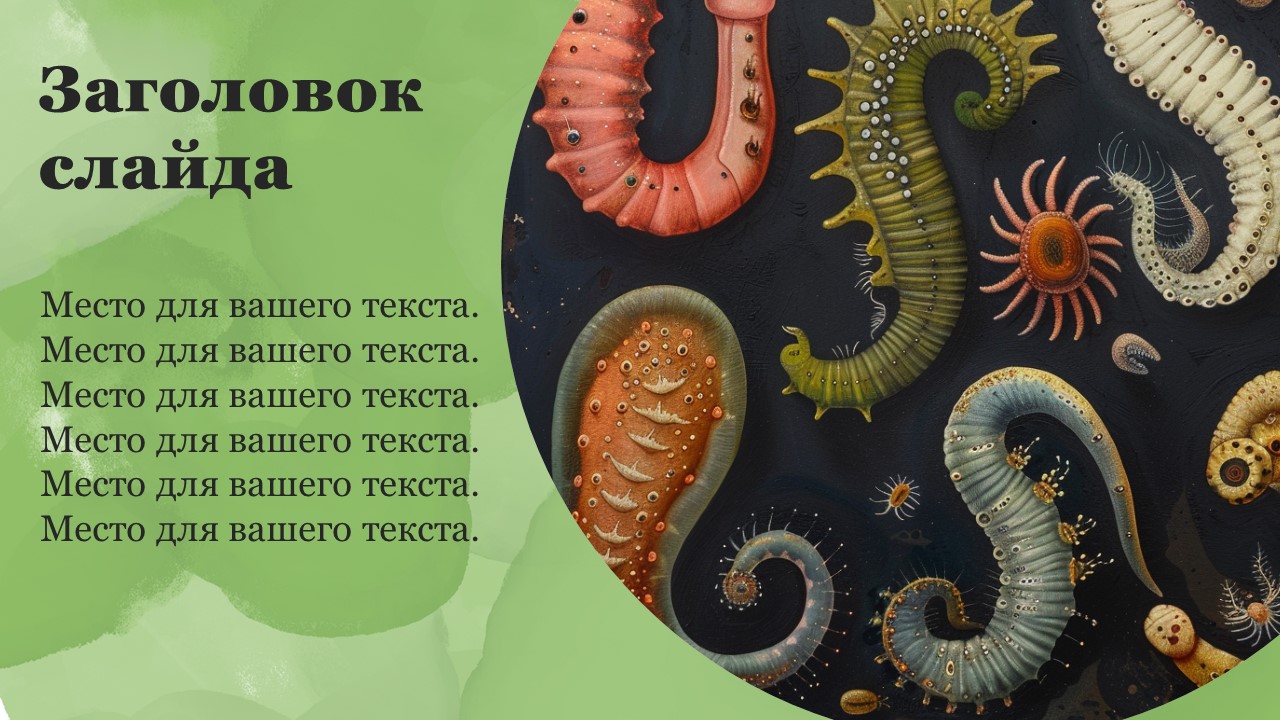 Презентация Тип плоские черви 