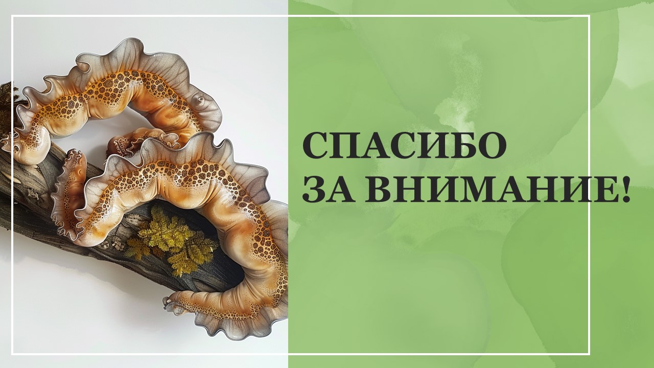 Презентация Тип плоские черви 